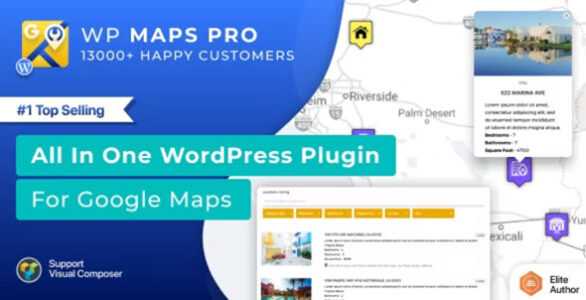 Advanced Google Maps Plugin (WP MAPS PRO)