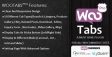 Woocommerce Tabs Pro – Extra Tabs for Product Page
