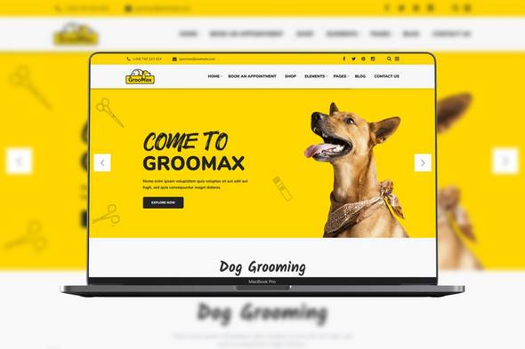 Groomax Groomax
