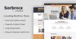 Sorbroix – Business Consulting WordPress Theme