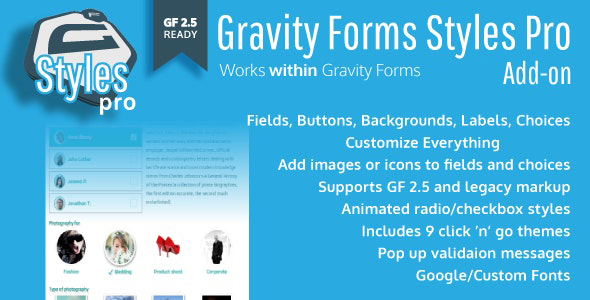 Gravity Forms Styles Pro
