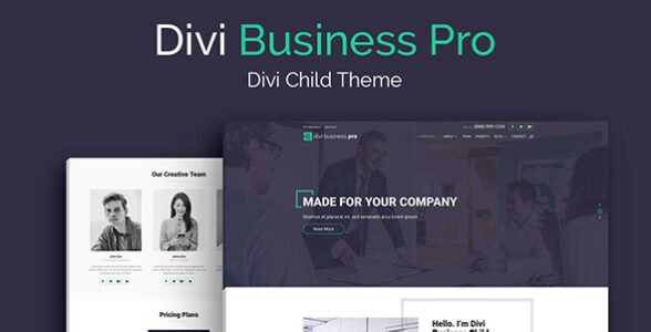 Divi Business Pro Divi Child Theme