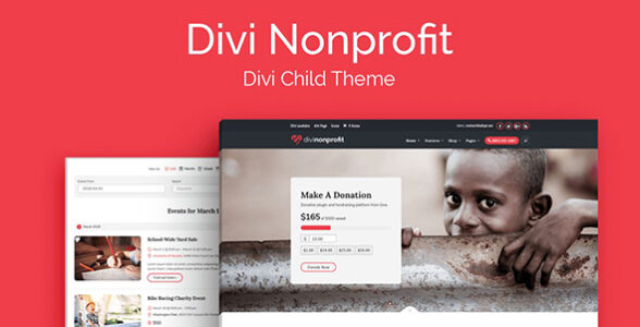 Divi Nonprofit Divi Child Theme