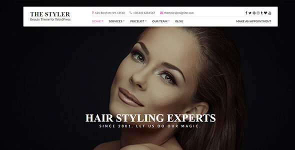 The Styler – WordPress Theme