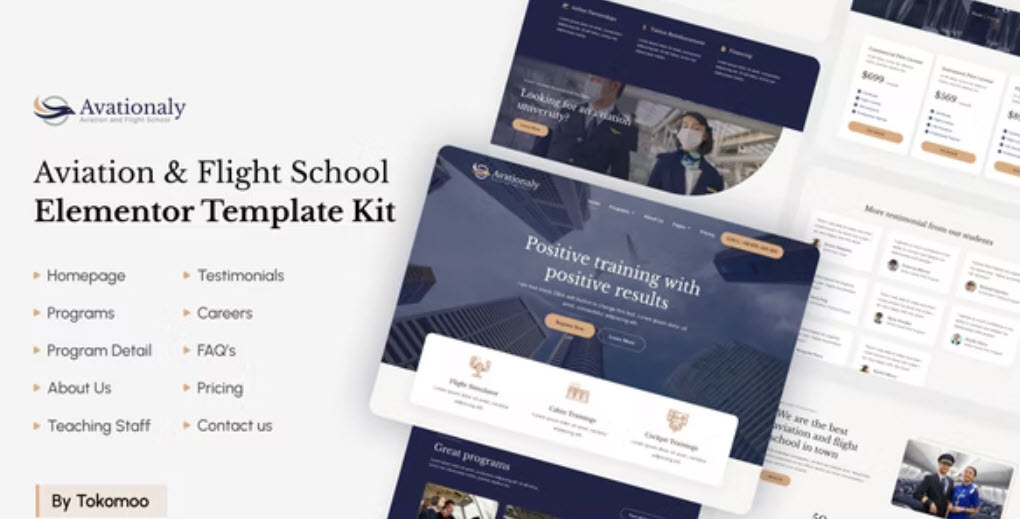 Aviationaly Aviation & Flight School Elementor Template Kit