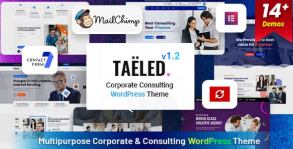 TAELED – Business Consulting WordPress Theme