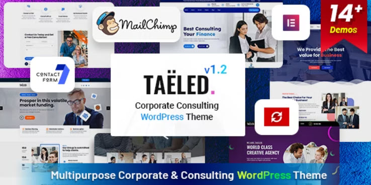 TAELED Business Consulting WordPress Theme