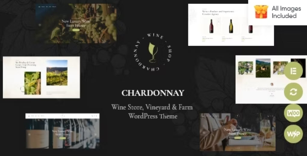 Chardonnay Wine Store & Vineyard Theme