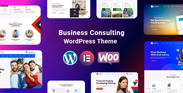 Consua Business Consulting WordPress