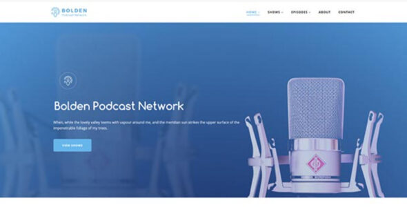 Bolden WordPress Theme