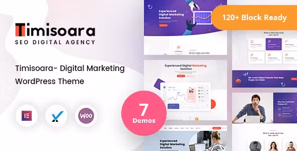 Timisoara Digital Marketing WordPress Theme