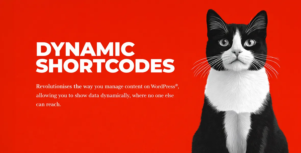 Dynamic Shortcodes Addon