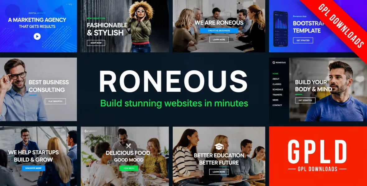 Roneous Creative Multi Purpose WordPress Theme