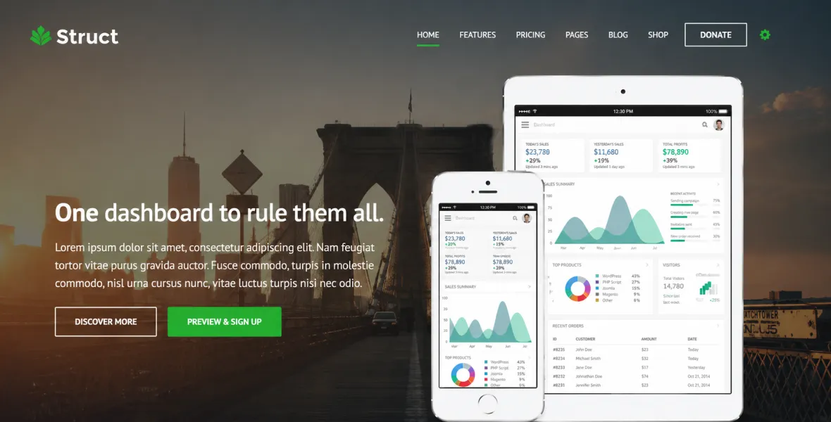 Struct WordPress Theme