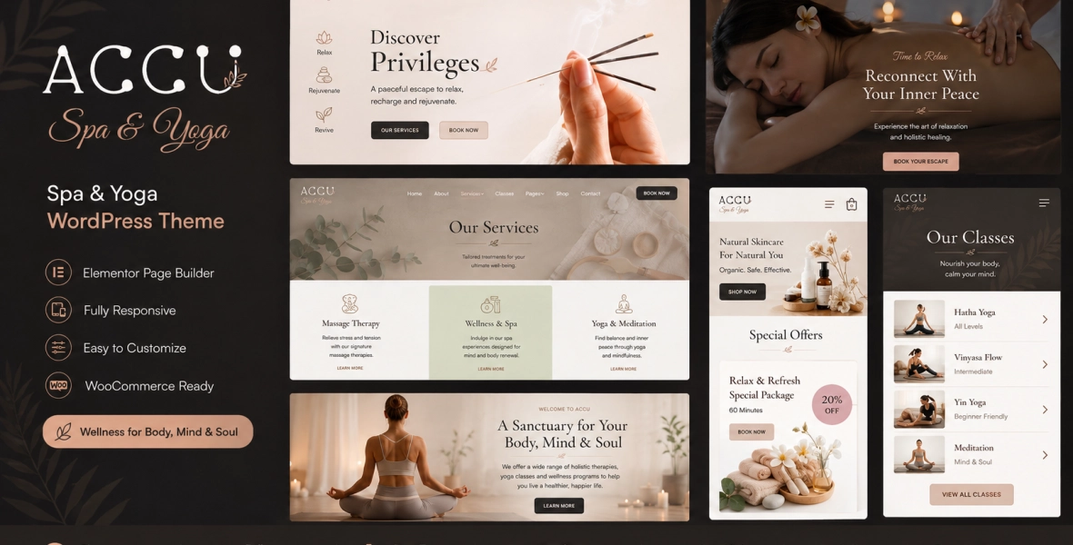 Accu Healthcare, Massage WordPress Theme