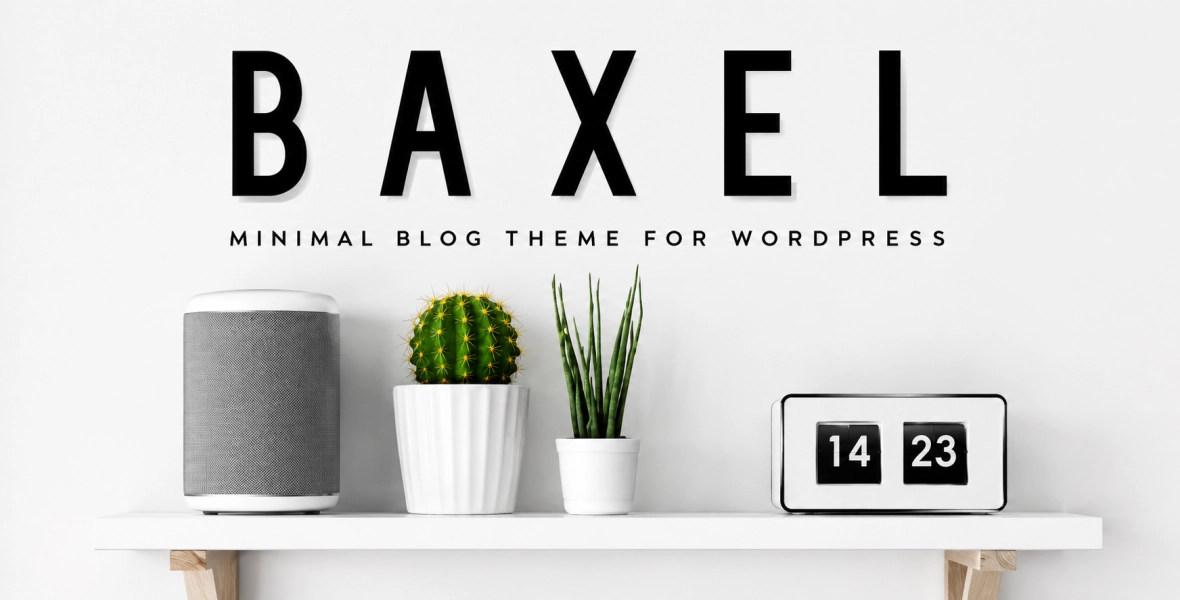 Baxel Minimal Blog Theme for WordPress