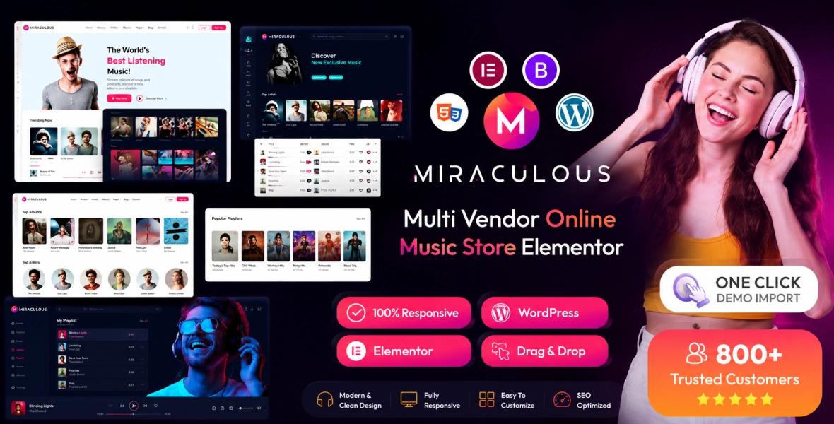 Miraculous Online Music Store WordPress Theme